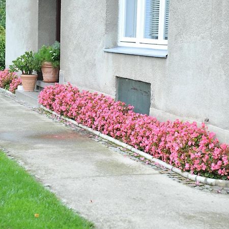 Studio apartman D&D Varaždin Esterno foto